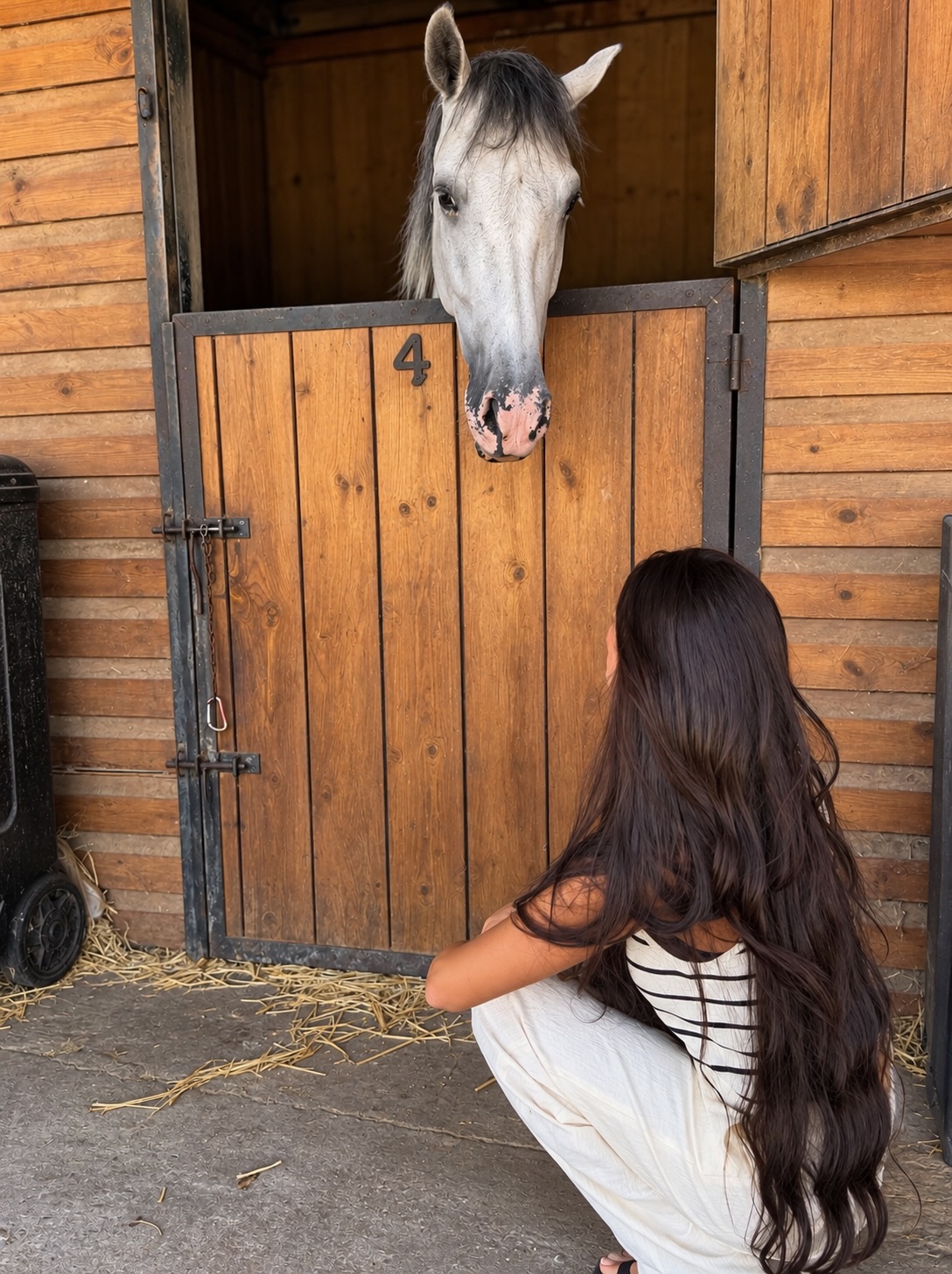 Tan feliz 🐴 🐎 ❤️ @restaurantelahipicamadrid by @gemmacamacho